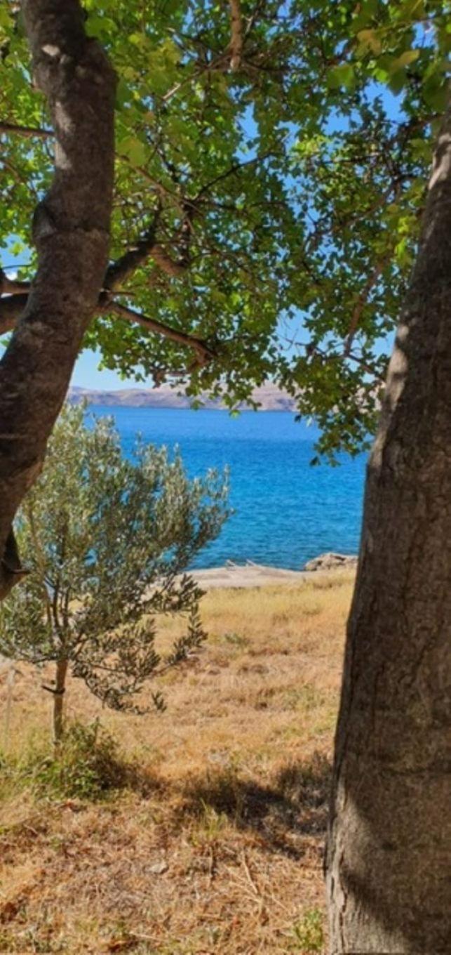 Apartments Neno - 20 M From Beach Ribarica Εξωτερικό φωτογραφία